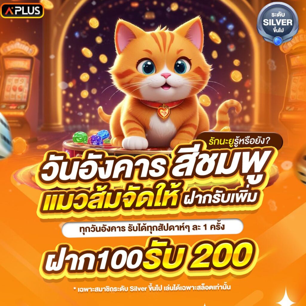 ฝาก 100 รับ 200